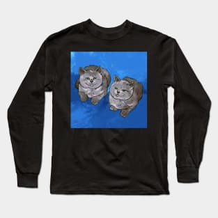 Two of Them Cats Long Sleeve T-Shirt